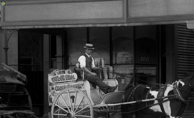 Horse drawn carts outside Taylor's Coronation Bakery, Adelaide Road, Newtown, Wellington DETAIL