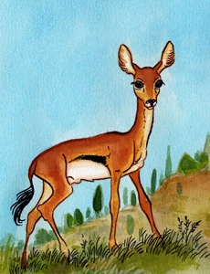 Etrurien Weltenbibliothek Fandom