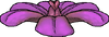 A purple flower
