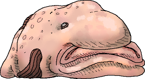 Blob fish, Waddles Lore Wiki
