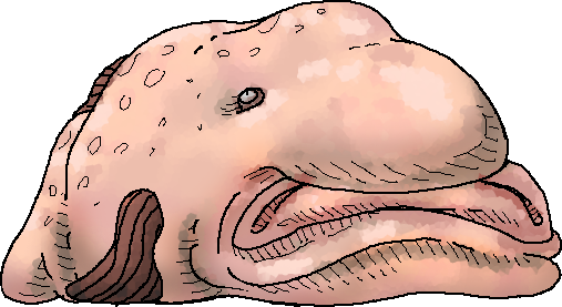 Blobfish?