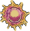 A Fungi Spawner