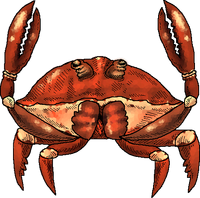 CrabScuttle 05