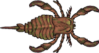 EurypteridComplete2