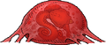 A Duopus Egg found in the Living Infinite