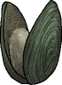 An oyster