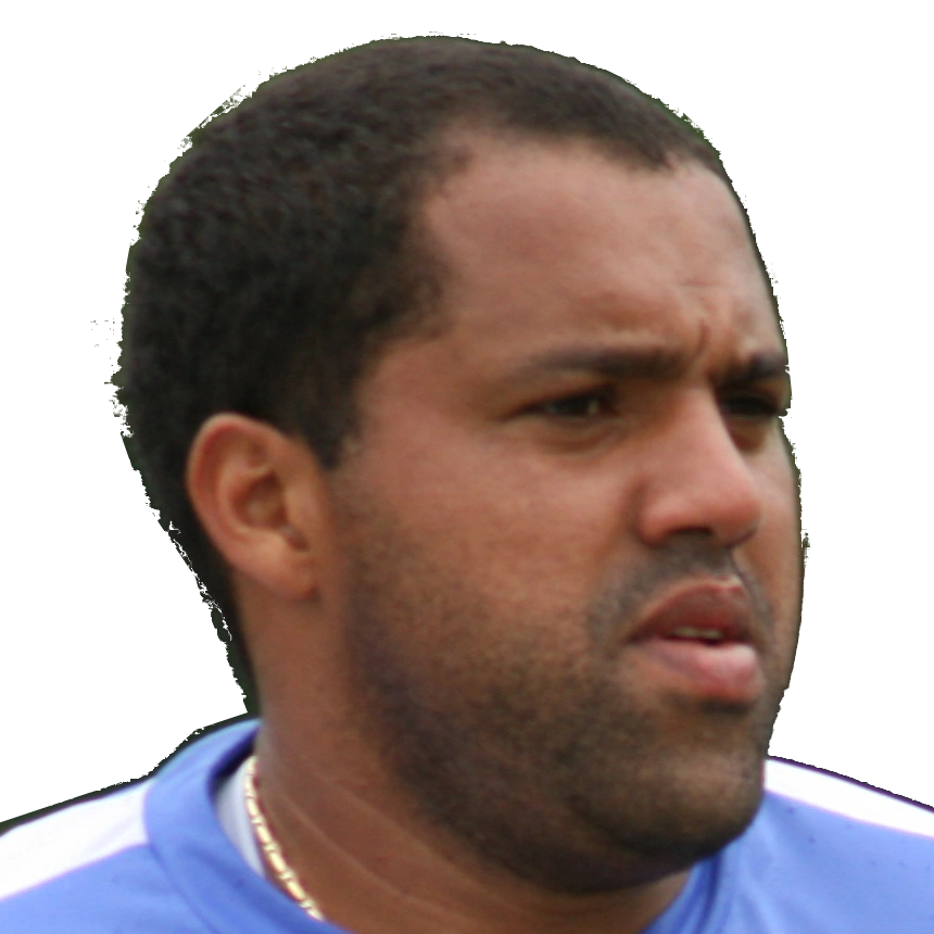 Aílton Gonçalves da Silva Werder Bremen Wiki Fandom