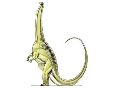 Download Brontosaurus We Re Back A Dinosaur S Story Wiki Fandom