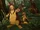 Tree Werekangaroo