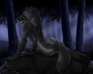 Werewolf 35.jpg (57 KB)