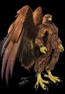 This is what a were-gryphon looks like