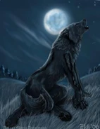 Werewolf 3.jpg (15 KB) Werewolf