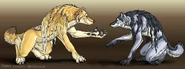 Werewolf 18.jpg (66 KB) Two werewolves