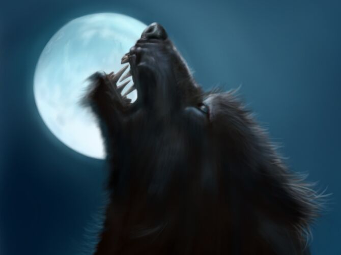 Read a new werewolf story!