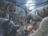 Werewolf pack