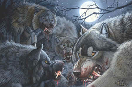 alpha werewolf pack