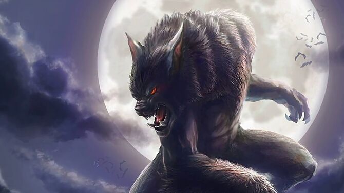 All things Werewolves