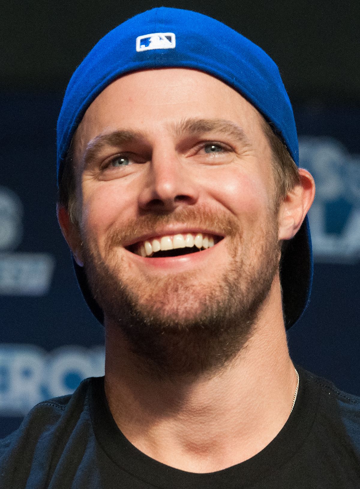 Stephen Amell | The Werewolf Diaries Wiki | Fandom