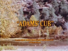 Adams' Cub