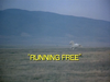Running Free