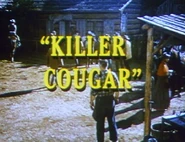 Killer Cougar.png (759 KB)