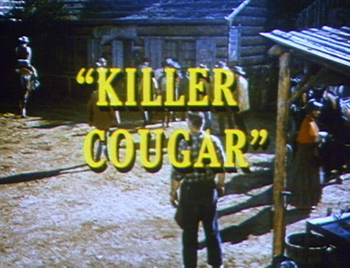 Killer Cougar
