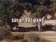 Day of the Hawk