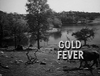 Gold Fever