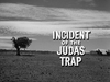 Incident of the Judas Trap