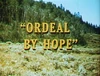 Ordeal by Hope