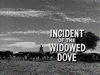 Incident of the Widowed Dove