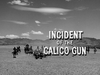 Incident of the Calico Gun