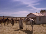 Law and Order (Lonesome Dove: The Series episode)