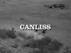 Canliss