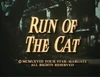 Run of the Cat