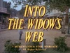 Into the Widow's Web