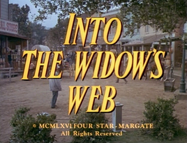 Into the Widow's Web