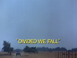 Divided We Fall