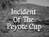 Incident of the Peyote Cup