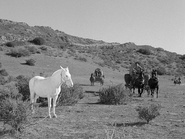 Rawhide - Incident at Deadhorse - Part 1 - Image 4