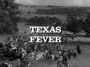 Texas Fever