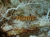 Fugitive