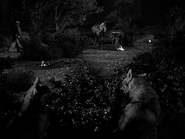 Rawhide - Incident of the Wolvers - Image 1