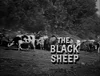 The Black Sheep
