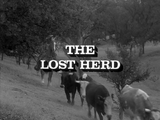 The Lost Herd