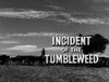 Incident of the Tumbleweed
