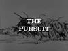 The Pursuit