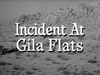 Incident at Gila Flats