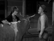 Rawhide - Mrs. Harmon - Image 5