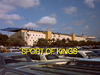 Sport of Kings